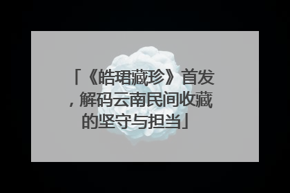 《皓珺藏珍》首发，解码云南民间收藏的坚守与担当