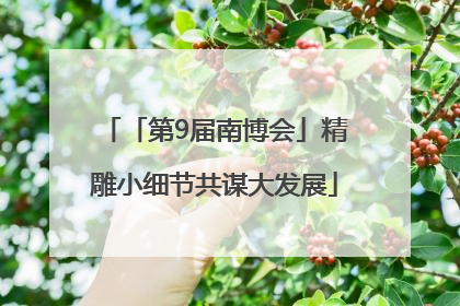「第9届南博会」精雕小细节共谋大发展