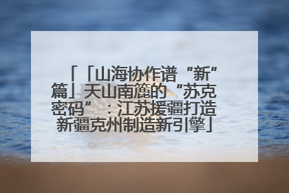 「山海协作谱“新”篇」天山南簏的“苏克密码”：江苏援疆打造新疆克州制造新引擎