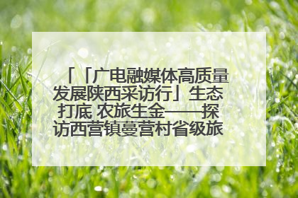 「广电融媒体高质量发展陕西采访行」生态打底 农旅生金——探访西营镇蔓营村省级旅游示范村的振兴密码