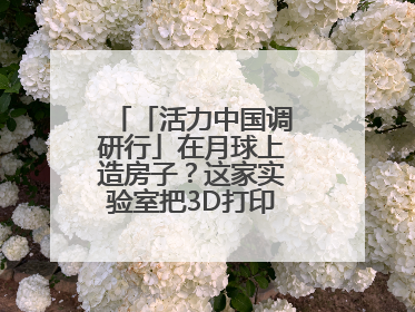 「活力中国调研行」在月球上造房子？这家实验室把3D打印“带上月球”
