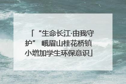 “生命长江·由我守护” 峨眉山桂花桥镇小增加学生环保意识