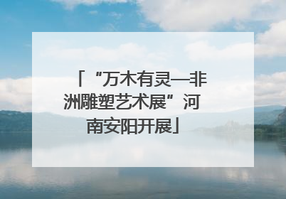 “万木有灵—非洲雕塑艺术展”河南安阳开展