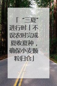“三夏”进行时丨不误农时完成夏收夏种，确保小麦颗粒归仓