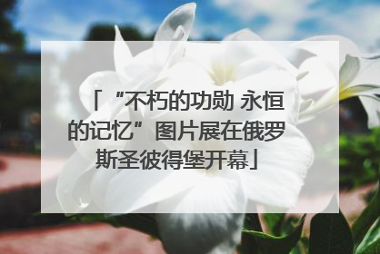 “不朽的功勋 永恒的记忆”图片展在俄罗斯圣彼得堡开幕