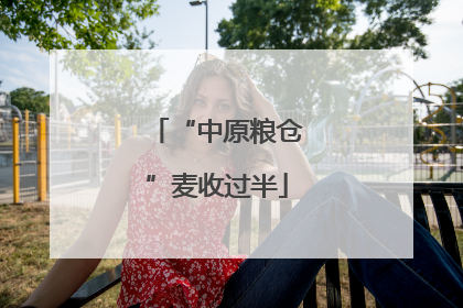 “中原粮仓”麦收过半