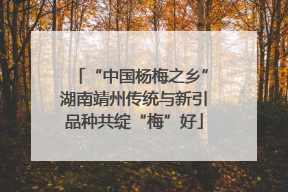 “中国杨梅之乡”湖南靖州传统与新引品种共绽“梅”好