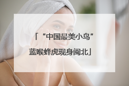 “中国最美小鸟”蓝喉蜂虎现身闽北