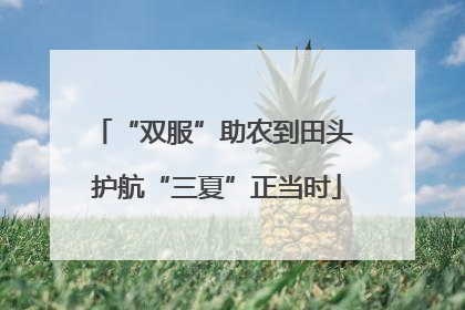 “双服”助农到田头 护航“三夏”正当时