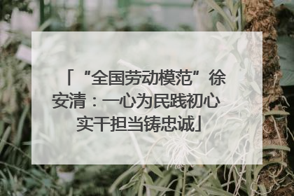 “全国劳动模范”徐安清：一心为民践初心 实干担当铸忠诚