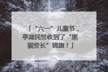 “六一”儿童节，亭湖民警收到了“黑猫警长”锦旗！
