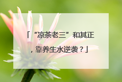 “凉茶老三”和其正，靠养生水逆袭？