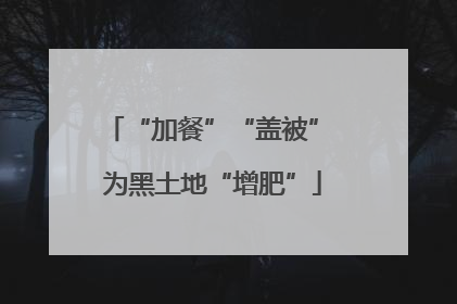 “加餐”“盖被” 为黑土地“增肥”