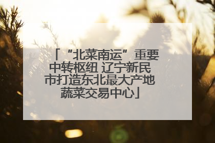 “北菜南运”重要中转枢纽 辽宁新民市打造东北最大产地蔬菜交易中心