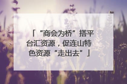 “商会为桥”搭平台汇资源，促连山特色资源“走出去”