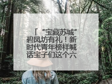 “宝藏苏城”碧凤坊有礼！新时代青年榜样喊话宝子们这个六一来平江街道