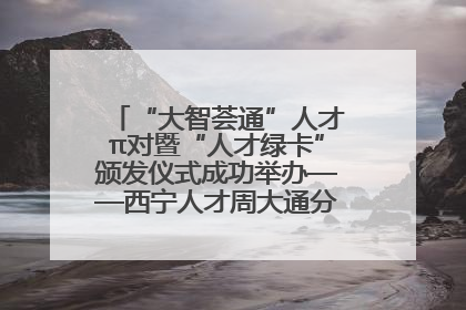 “大智荟通”人才π对暨“人才绿卡”颁发仪式成功举办——西宁人才周大通分会场亮点纷呈
