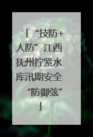 “技防+人防”江西抚州拧紧水库汛期安全“防御弦”