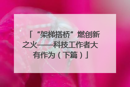 “架梯搭桥”燃创新之火——科技工作者大有作为（下篇）