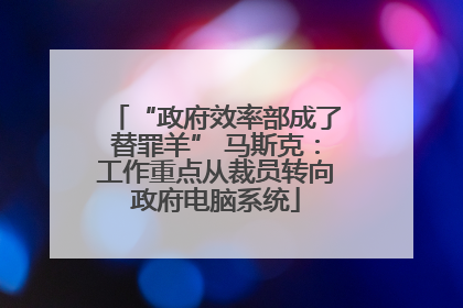 “政府效率部成了替罪羊” 马斯克：工作重点从裁员转向政府电脑系统