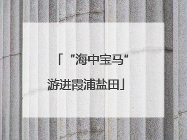 “海中宝马”游进霞浦盐田