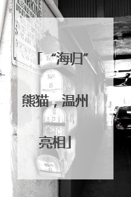 “海归”熊猫，温州亮相