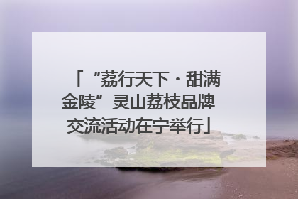 “荔行天下・甜满金陵”灵山荔枝品牌交流活动在宁举行