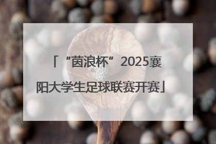 “茵浪杯”2025襄阳大学生足球联赛开赛