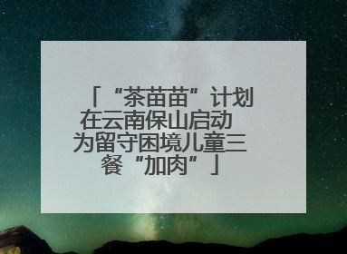 “茶苗苗”计划在云南保山启动 为留守困境儿童三餐“加肉”