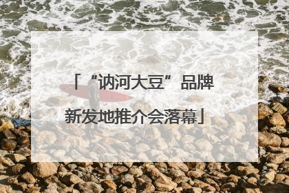 “讷河大豆”品牌新发地推介会落幕