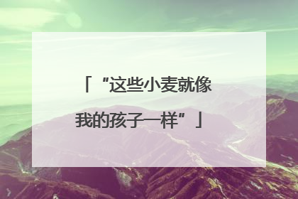 “这些小麦就像我的孩子一样”