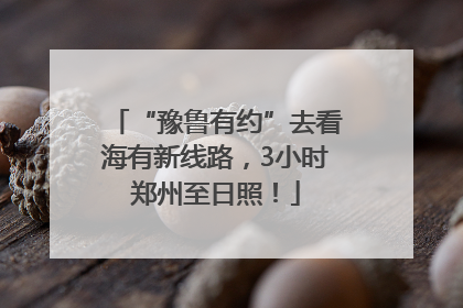 “豫鲁有约”去看海有新线路，3小时郑州至日照！