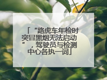 “路虎车年检时突冒黑烟无法启动”，驾驶员与检测中心各执一词