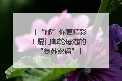 “邮”你更精彩！厦门邮轮母港的“复苏密码”