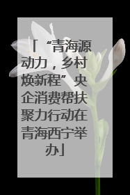 “青海源动力，乡村焕新程”央企消费帮扶聚力行动在青海西宁举办