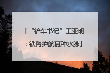 “铲车书记”王亚明：铁臂护航夏种水脉