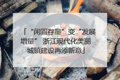 “闲置存量”变“发展增量” 浙江现代化美丽城镇建设再添新意