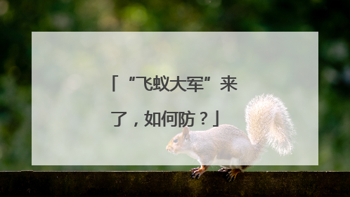 “飞蚁大军”来了，如何防？