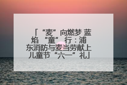 “麦”向燃梦 蓝焰 “童” 行：浦东消防与麦当劳献上儿童节“六一”礼