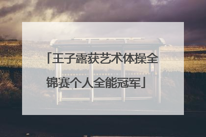 王子露获艺术体操全锦赛个人全能冠军