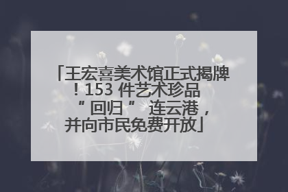 王宏喜美术馆正式揭牌！153 件艺术珍品 “ 回归 ” 连云港，并向市民免费开放