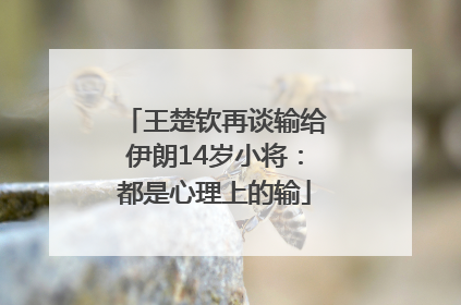 王楚钦再谈输给伊朗14岁小将：都是心理上的输