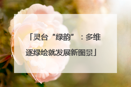 灵台“绿韵”：多维逐绿绘就发展新图景