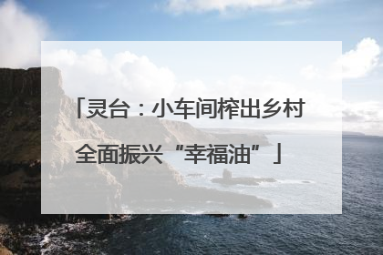 灵台：小车间榨出乡村全面振兴“幸福油”