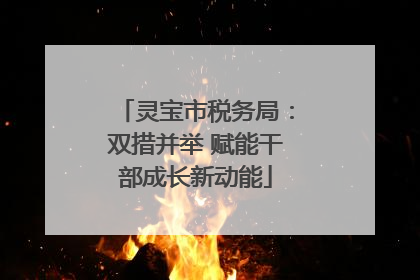 灵宝市税务局：双措并举 赋能干部成长新动能