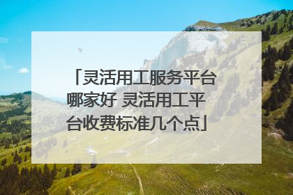 灵活用工服务平台哪家好 灵活用工平台收费标准几个点