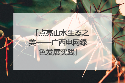 点亮山水生态之美——广西电网绿色发展实践