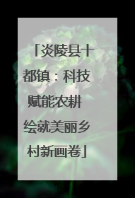 炎陵县十都镇：科技赋能农耕 绘就美丽乡村新画卷