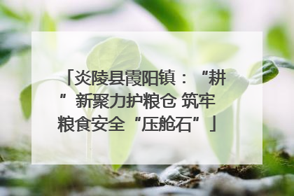 炎陵县霞阳镇：“耕”新聚力护粮仓 筑牢粮食安全“压舱石”