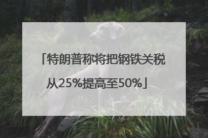 特朗普称将把钢铁关税从25%提高至50%